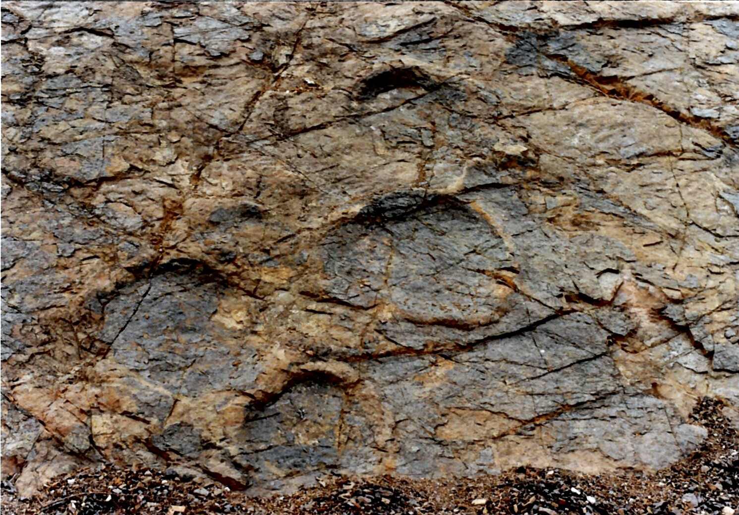 [천연기념물  373호] 의성 제오리 공룡발자국 화석산지