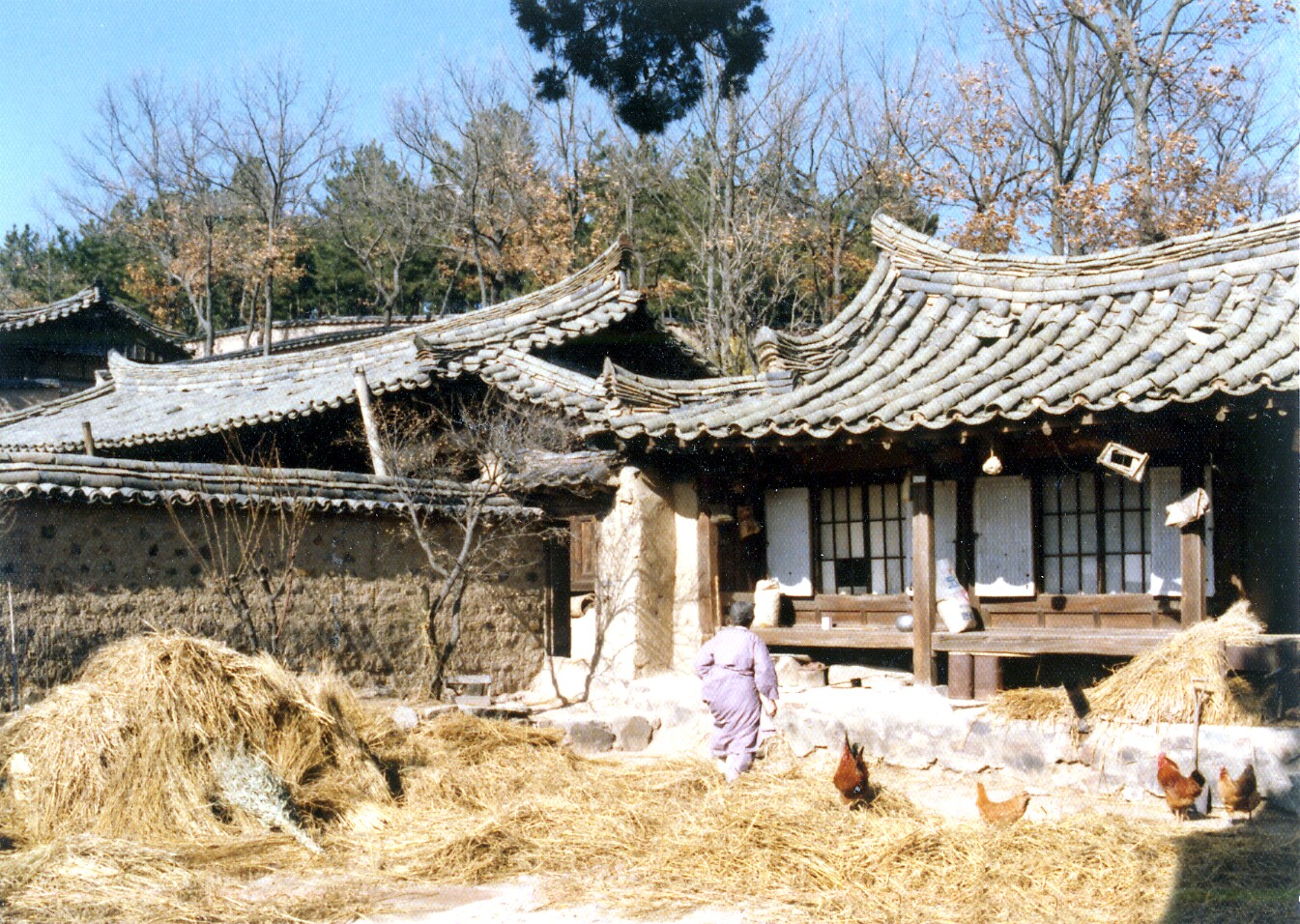 [국가민속문화유산  77호] 경주 양동마을 두곡 고택