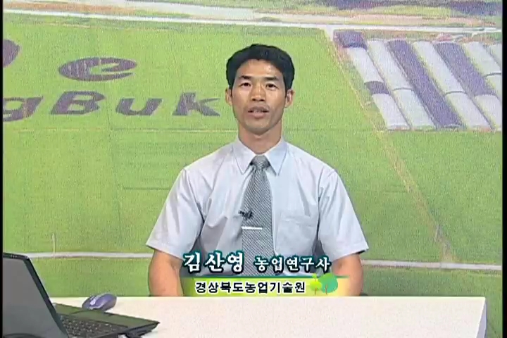2011-0801 (20회)(홈페이지)복숭아 주요 병해충관리-김산영(24분45초)