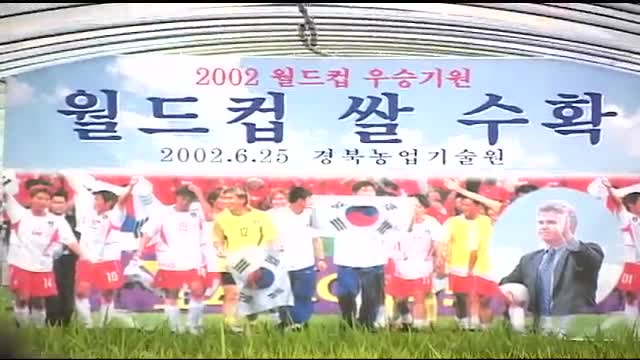 2002 월드컵 우승기원 월드컵 쌀 수확