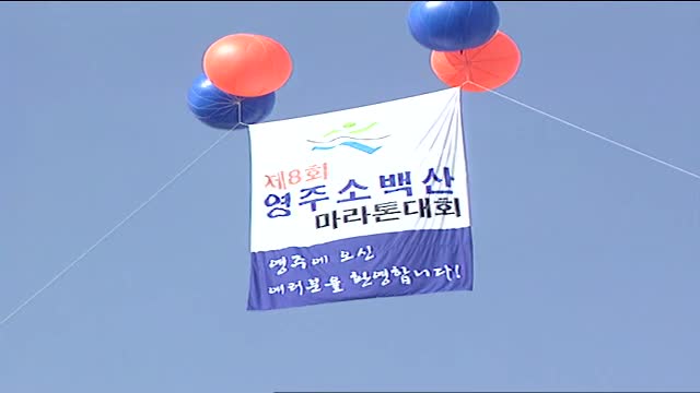 2010 영주 소백산 마라톤 대회