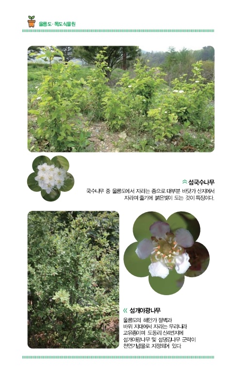울릉도ㆍ독도식물원