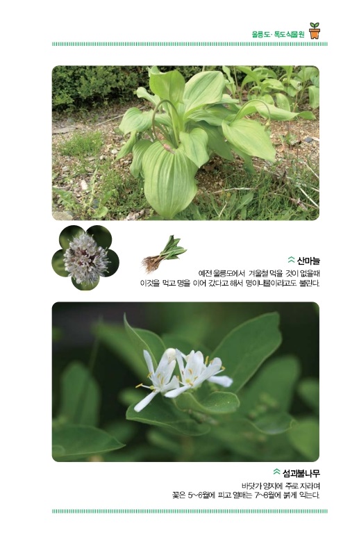 울릉도ㆍ독도식물원