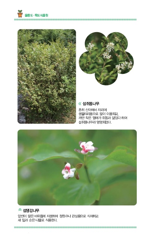 울릉도ㆍ독도식물원