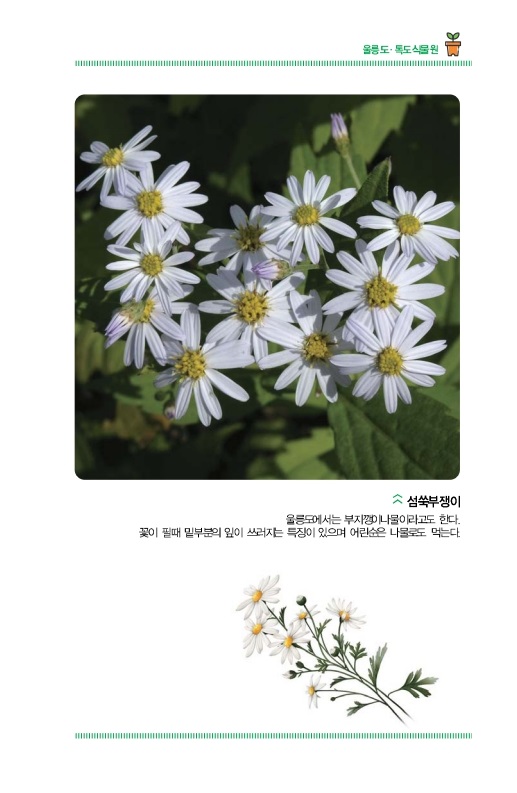 울릉도ㆍ독도식물원