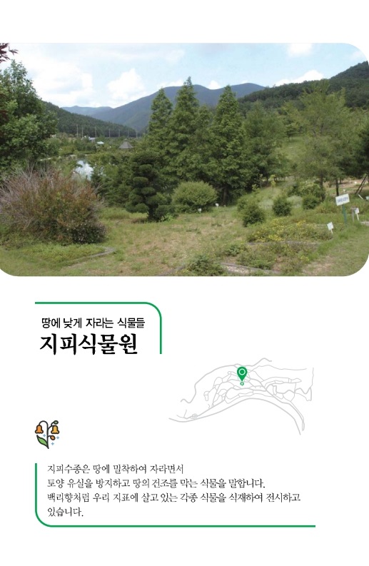 지피식물원