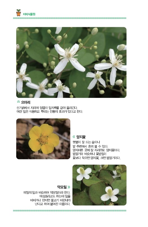 지피식물원