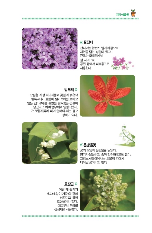 지피식물원