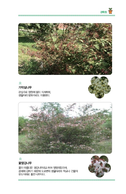 관목원