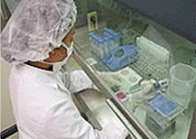 연구원이 실험실에서 미생물 검사를 하고 있는 모습