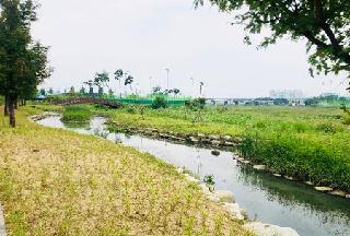 Gyeongsangbuk-do to transform covered urban rivers into “e...