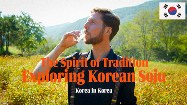 The Spirit of Tradition Exploring Korean Soju