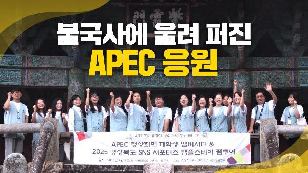 APEC 대학생 앰버서더 X 도·시군 SNS 서포터즈