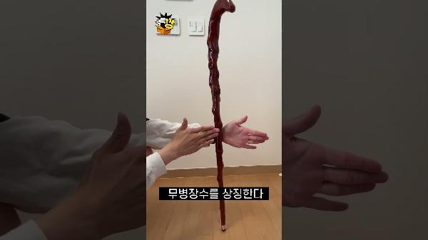 짱 멋진 지팡이 | 경북깡